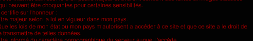 sexshop sodomie