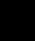 pute gang bang