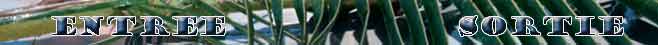 rencontres sex beaux mecs